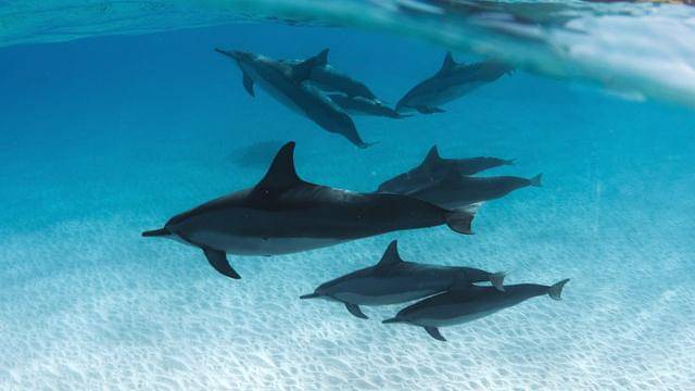 Pexels/noah-munivez-101601064