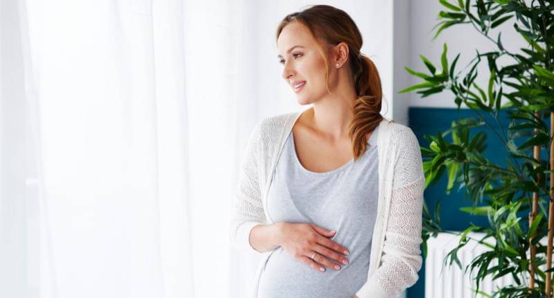 Freepik.com/gpointstudio