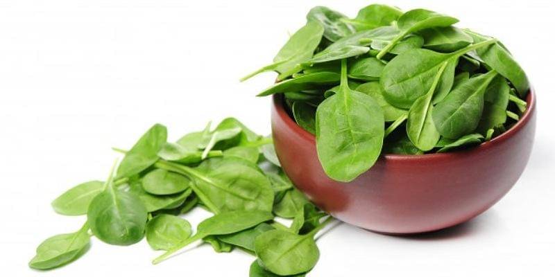 Freepik/Racool_studio