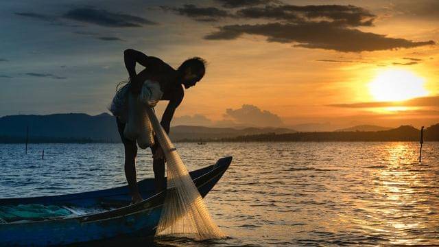 Pexels/quang-nguyen-vinh-222549