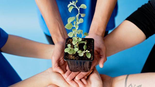 Pexels/mikhail-nilov