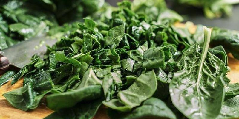 Freepik/ededchechine