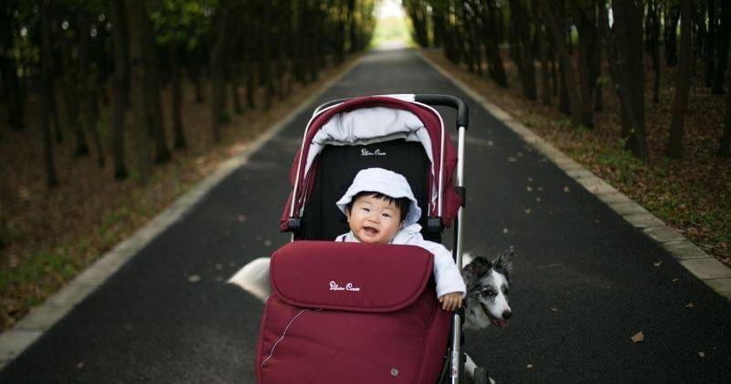 Unsplash/Minnie Zhou