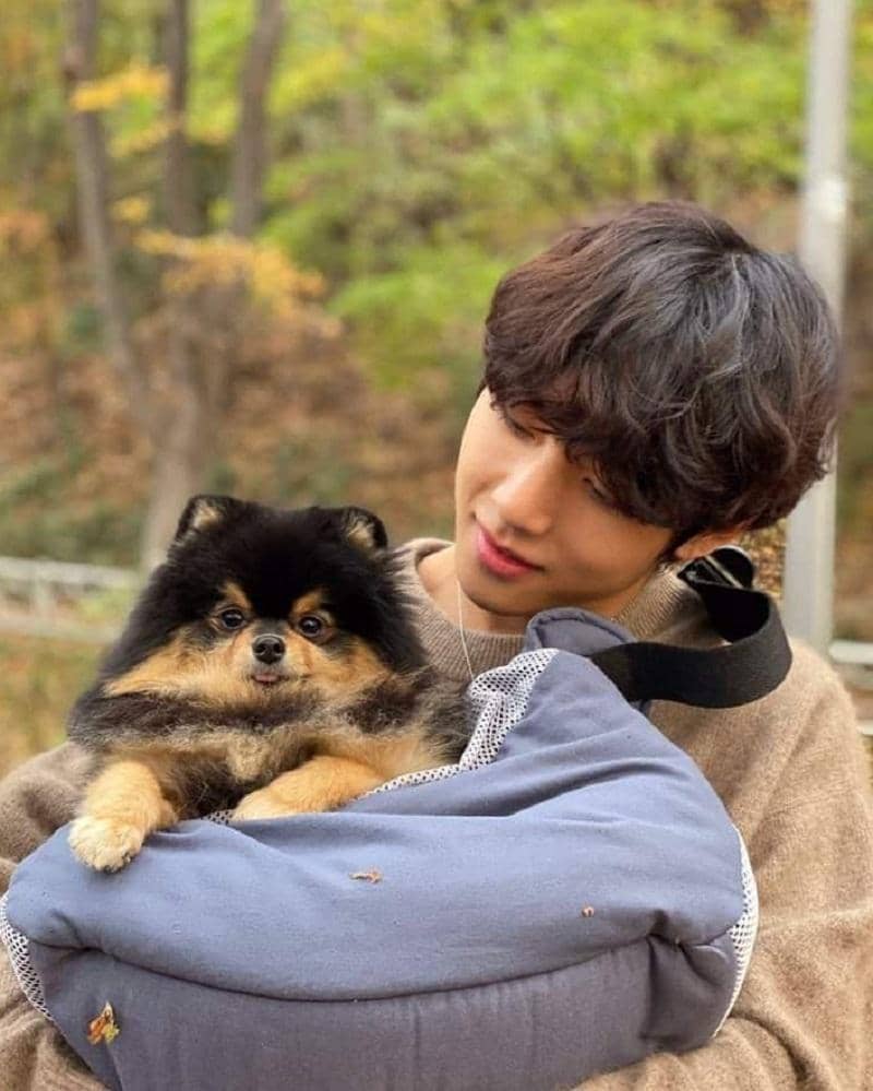 twitter.com/GGUVOEUX