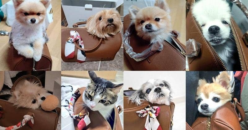 twitter.com/taebokkiii