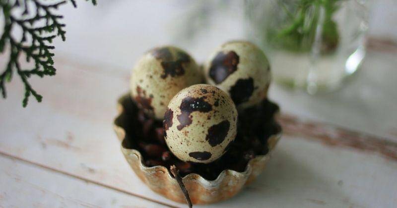 Unsplash/Yana Gorbunova