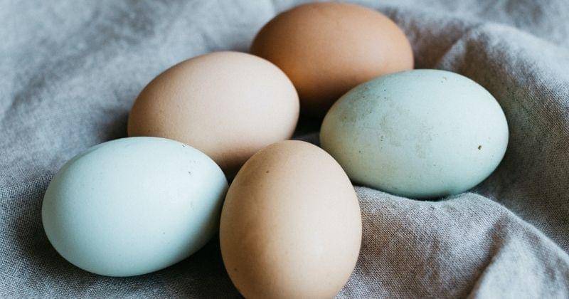 Unsplash/Rachael Gorjestani