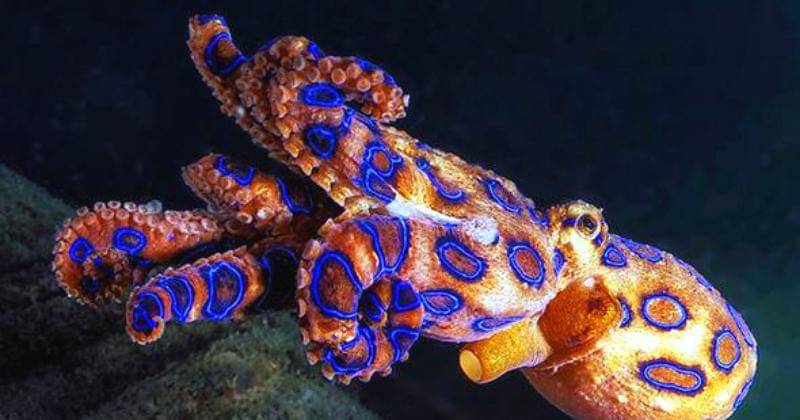 Pinterest.com/slatemagazine 