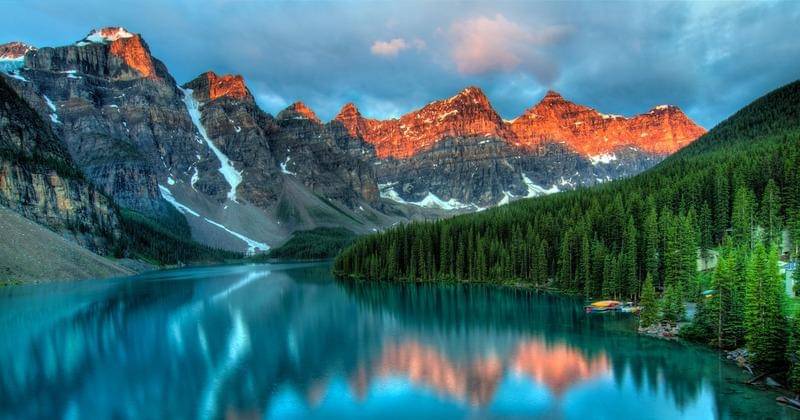 Pexels/James Wheeler