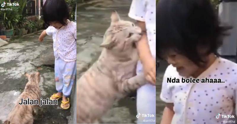 Tiktok.com/@mpuss999