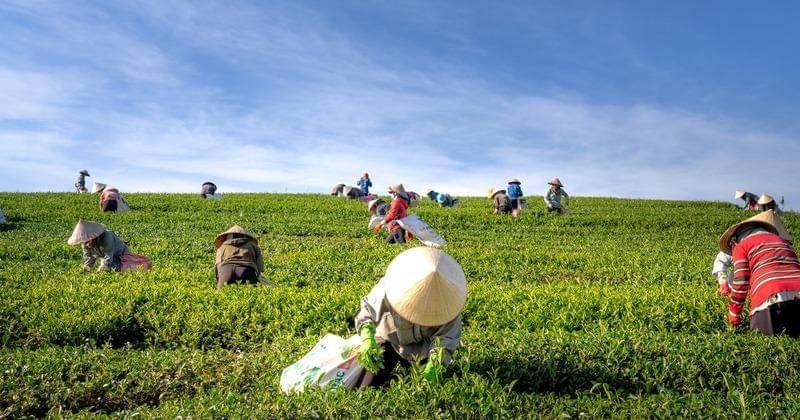 Pexels/Quang Nyuyen Vihn