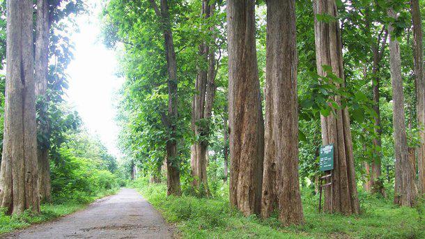10 Wisata Bantul yang Ramah di Kantong, Ada Banyak Pantai!