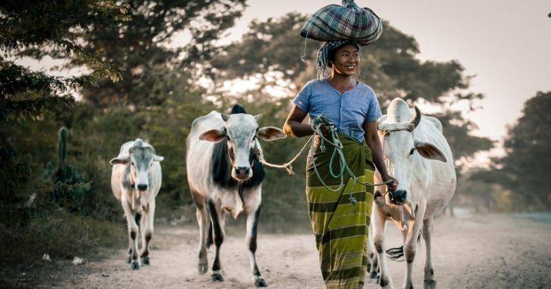 Ilustrasi - Unplash&sippakorn yamkasikorn