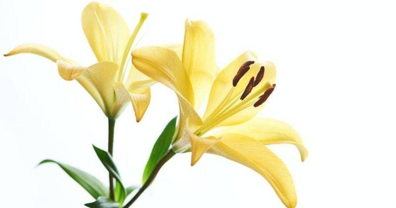 Unsplash/Edge2edgemedia