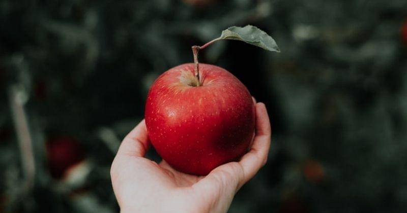 Unsplash/Priscilladupreez