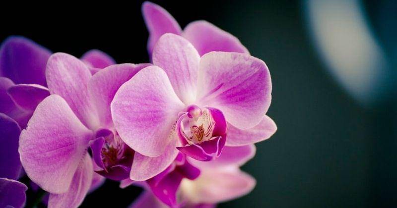 Unsplash/Isaacquesada