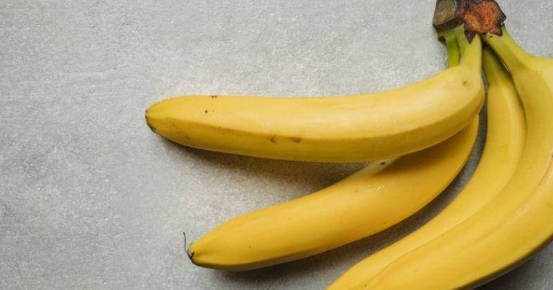 Unsplash/Anastasiaeremina