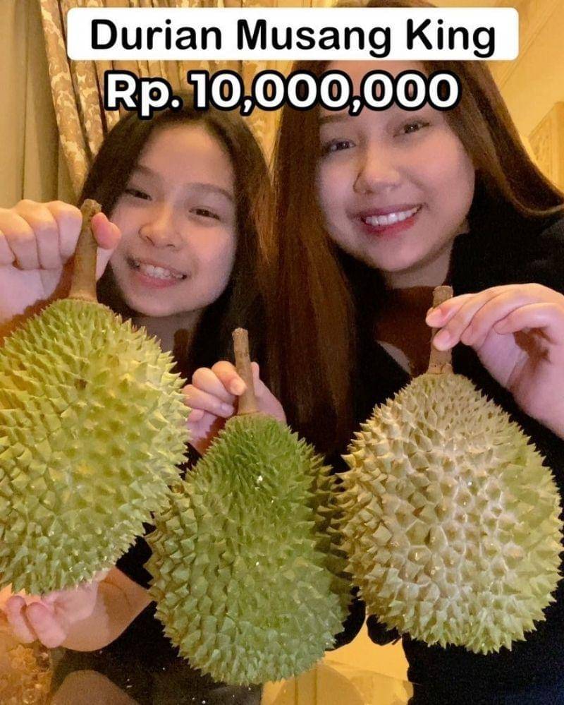 Instagram.com/siscakohl