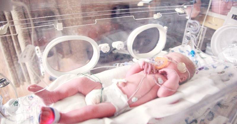 Ilustrasi - Unsplash/Sharon McCutcheon