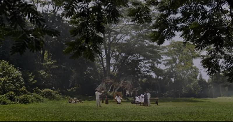 Instagram.com/idnpictures