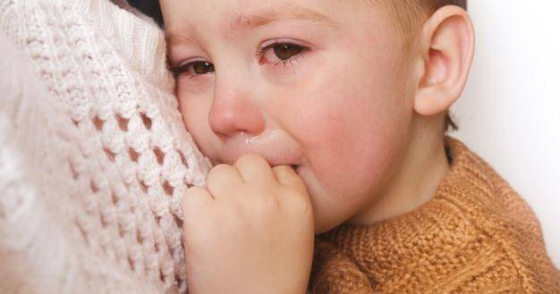 Freepik/Creativebird