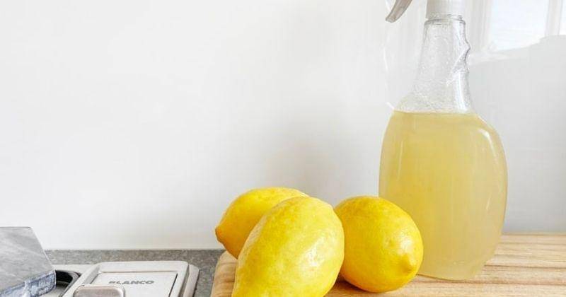 Unsplash/Preciousplasticmelbourne