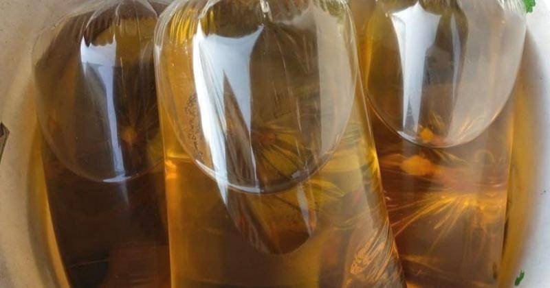 IDN Times/Vadhia Lidyana