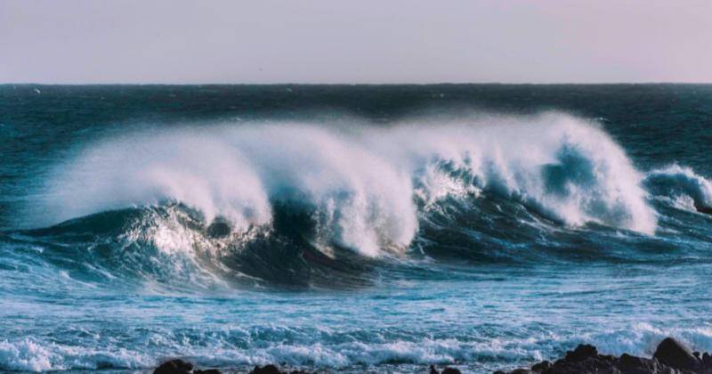 Pexels.com/Allan Watson