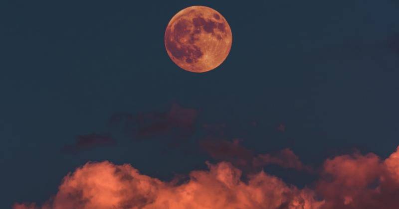 Unsplash.com/Altınay Dinç