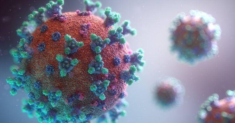 Unsplash/Fusion_medical_animation