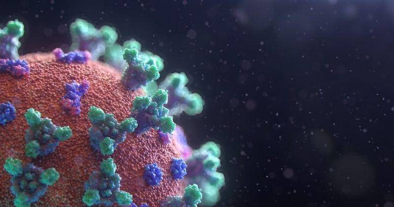 Unsplash/Fusion_medical_animation