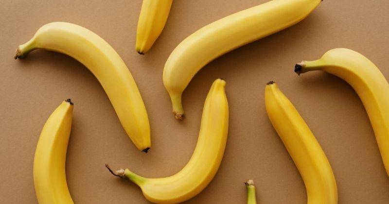 Pexels/Vanessa Loring