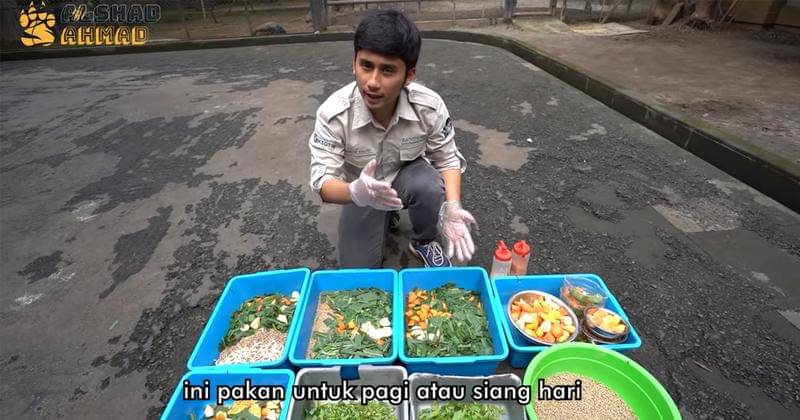 Youtube.com/Alshad Ahmad