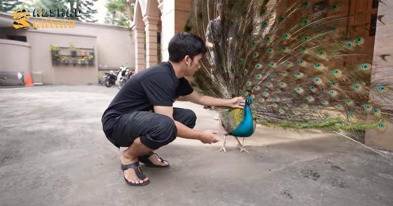 Youtube.com/Alshad Ahmad