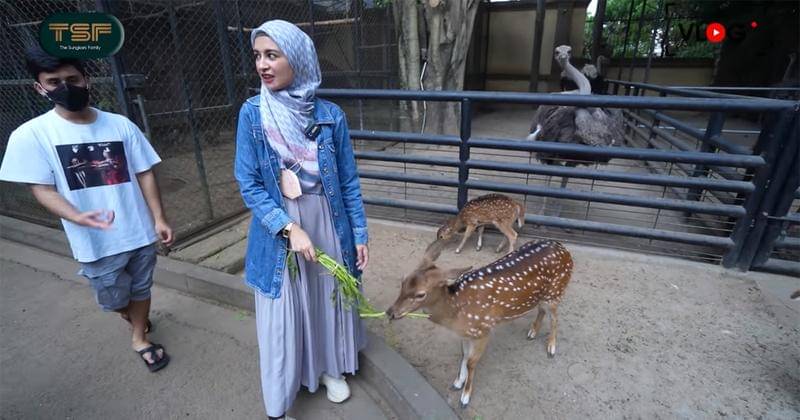 Youtube.com/The Sungkars