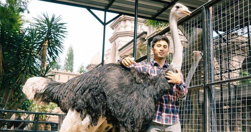 Instagram.com/alshadahmad