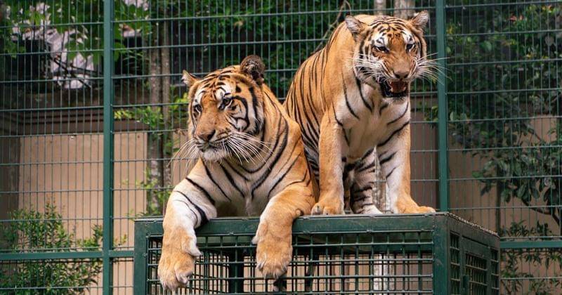 Instagram.com/alshadahmad