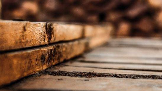 Pexels/chaabani-mohamed-dhia-84835