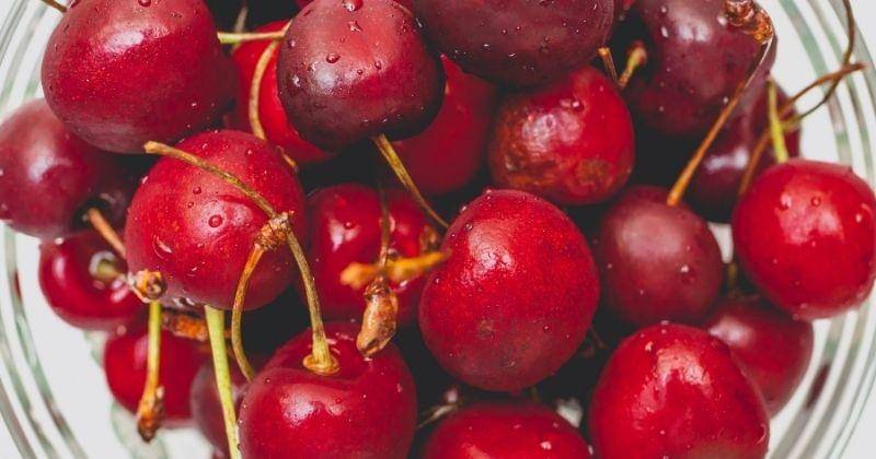 Pexels/Artem Beliaikin