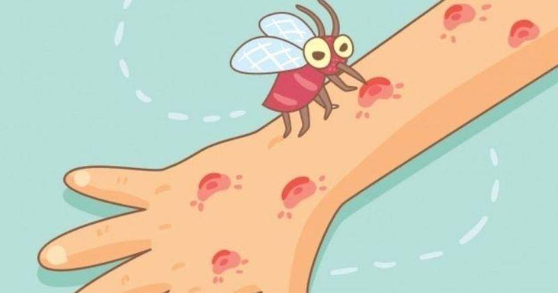 Pinterest.com/Freepik