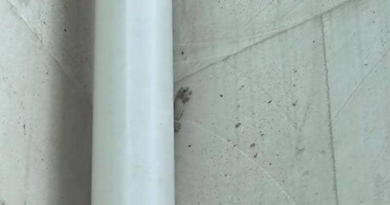 Youtube.com/Baim Paula