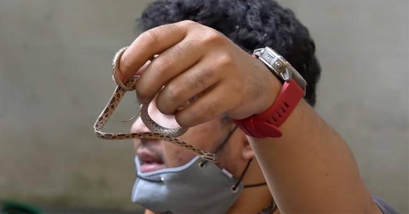 Youtube.com/Baim Paula