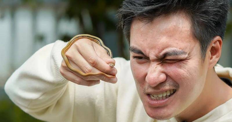 Instagram.com/baimwong