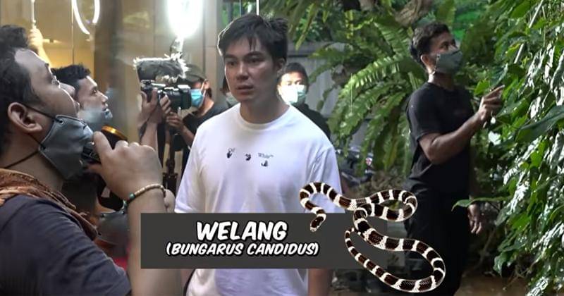 Youtube.com/Baim Paula