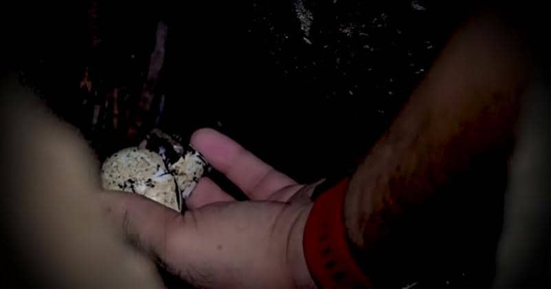 Youtube.com/Baim Paula