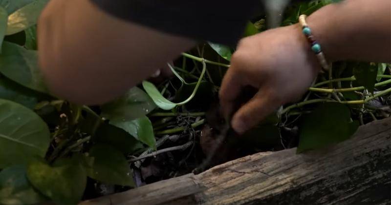 Youtube.com/Baim Paula