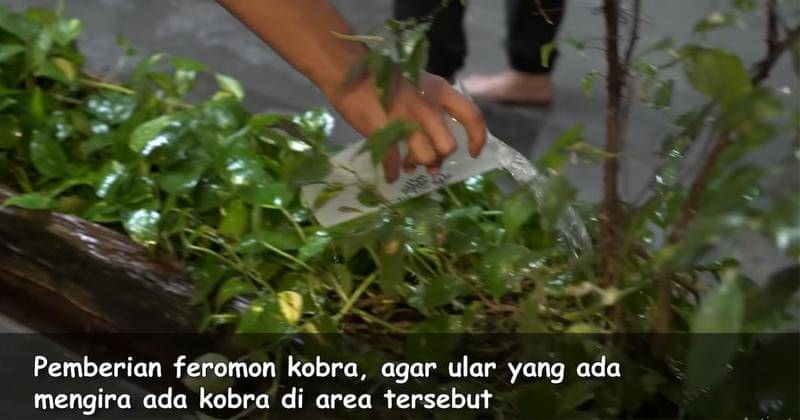 Youtube.com/Baim Paula