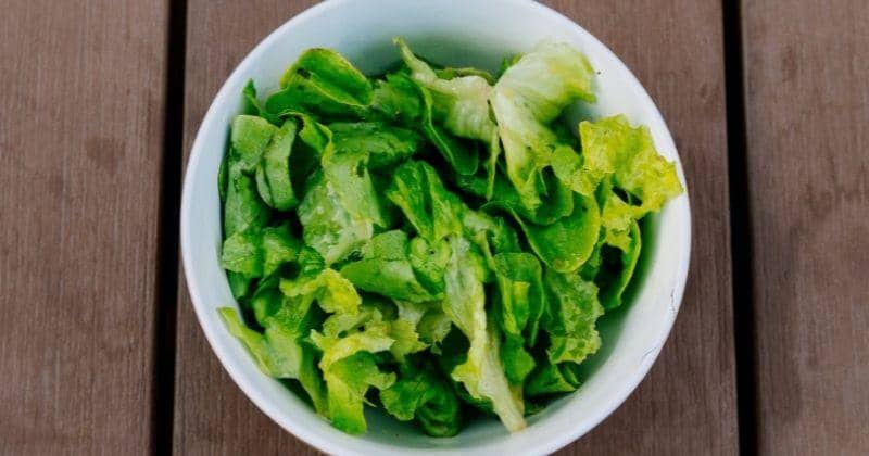 7 Manfaat Selada untuk Ibu Hamil, Salah Satunya Meringankan Stres