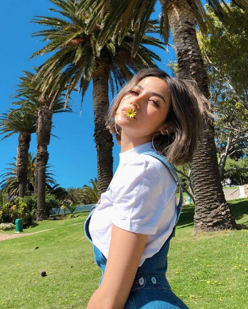 instagram.com/inijedar