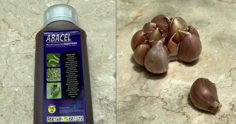 Youtube.com/Mamitoko